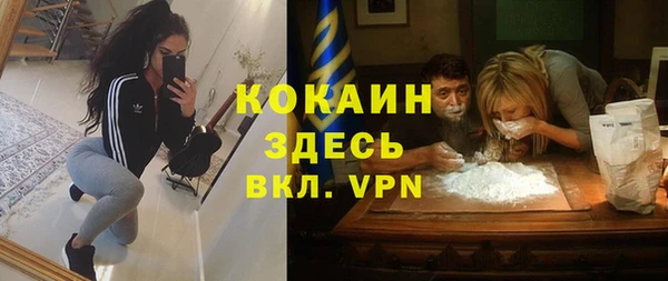 ешки Алексеевка