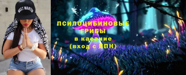 ешки Алексеевка